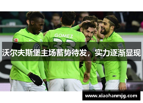 沃尔夫斯堡主场蓄势待发，实力逐渐显现