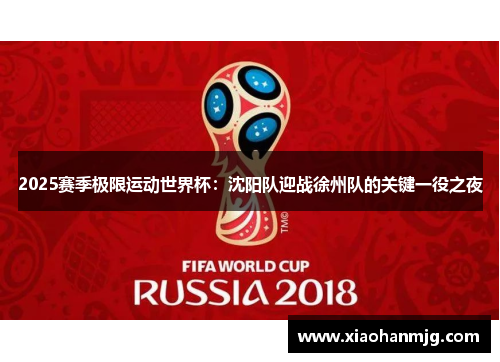 2025赛季极限运动世界杯：沈阳队迎战徐州队的关键一役之夜