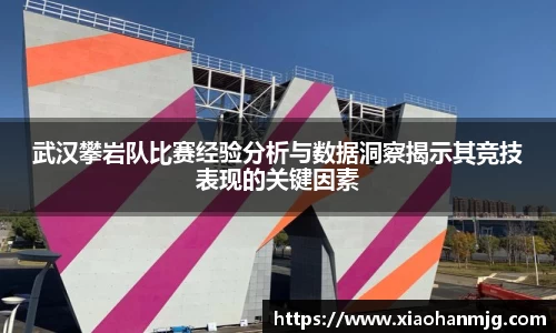 武汉攀岩队比赛经验分析与数据洞察揭示其竞技表现的关键因素